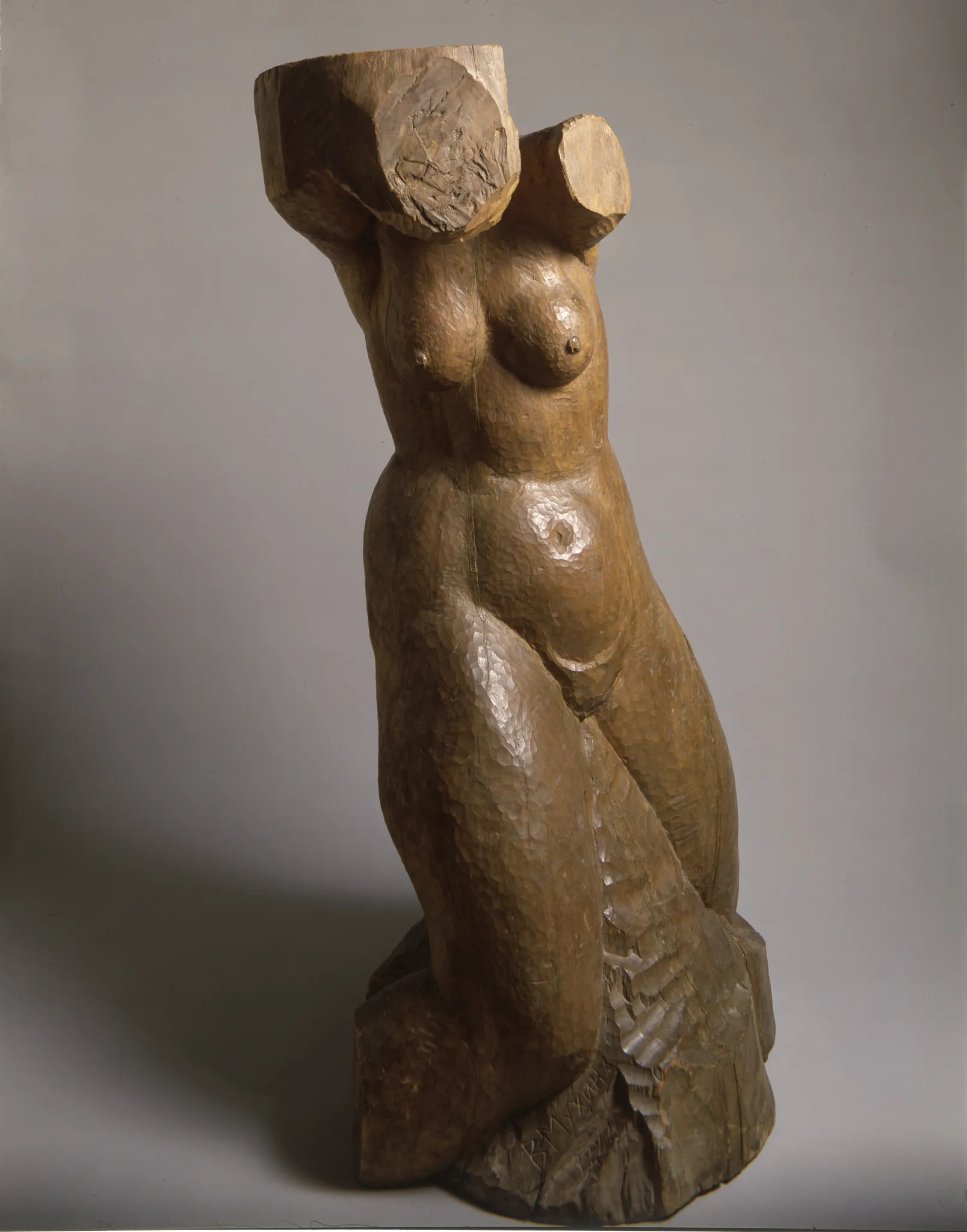 Женский торс